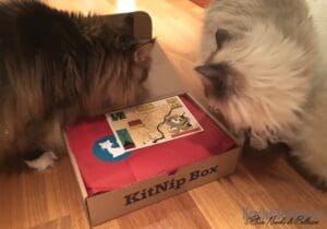 Unboxing February 2015 Multi-Cat KitNipBox