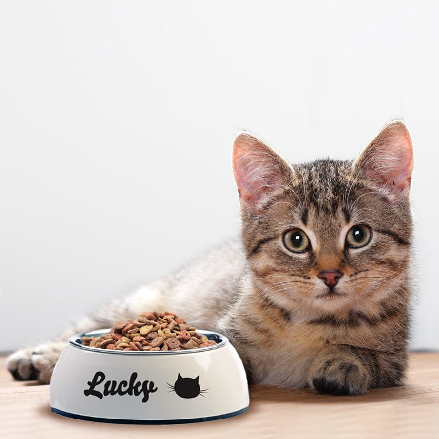 Animali Gatti Ciotole e distributori Ciotole Gatti Ciotole Ciotola per gatti Lucky Kitty 