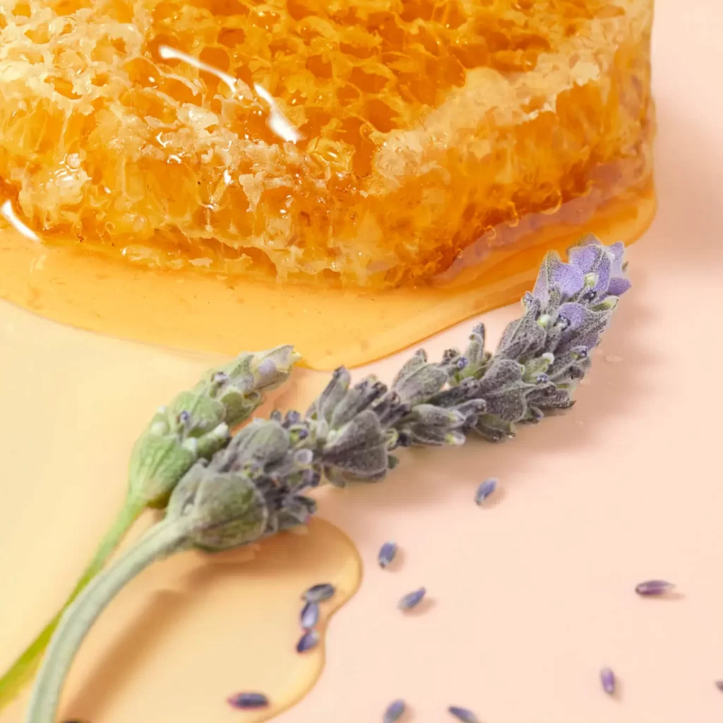Formula e ingredienti Gloss al Miele Nuxe Reve de Miel Trattamento Labbra