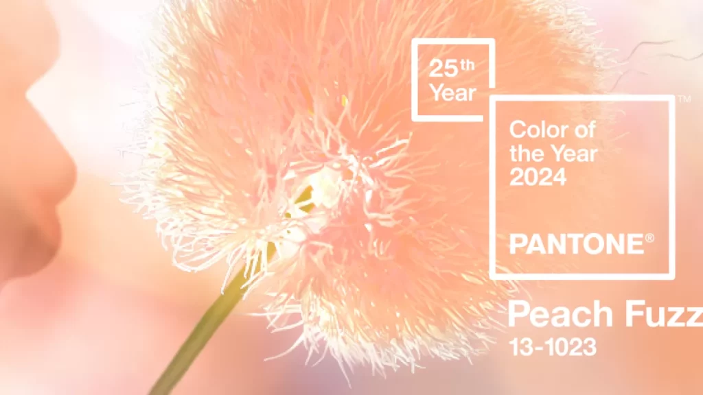 Colore Pantone 2024 Peach Fuzz