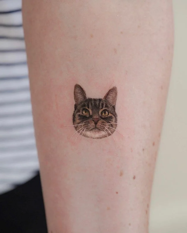Tatuaggio gatto uomo